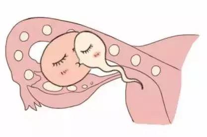 王医生